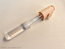 Cargar imagen en el visor de la galería, Antpod - Micro Formicarium