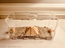 Cargar imagen en el visor de la galería, Large Ant Outworld Kit Aztec Temple Farm Arena