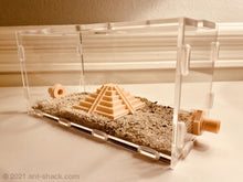 Cargar imagen en el visor de la galería, Large Ant Outworld Kit Aztec Temple Farm Arena