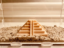 Cargar imagen en el visor de la galería, Large Ant Outworld Kit Aztec Temple Farm Arena