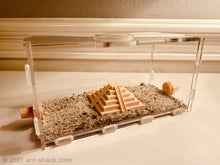 Cargar imagen en el visor de la galería, Large Ant Outworld Kit Aztec Temple Farm Arena