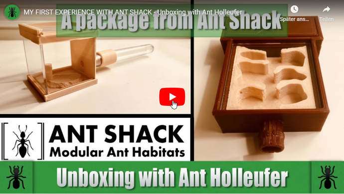 MY FIRST EXPERIENCE WITH ANT SHACK - Unboxing with Ant Holleufer