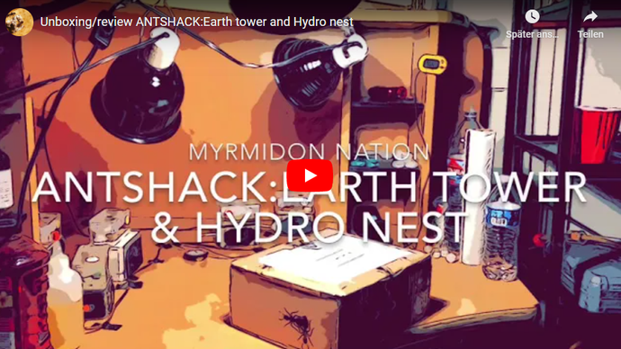 Unboxing/review ANTSHACK:Earth tower and Hydro nest