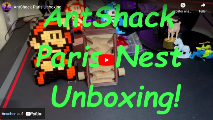 ANT SHACK París Nido Unboxing