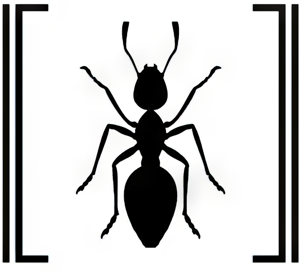 ant-shack-formicarium-and-ant-farm-kit-shop-messor-barbarus