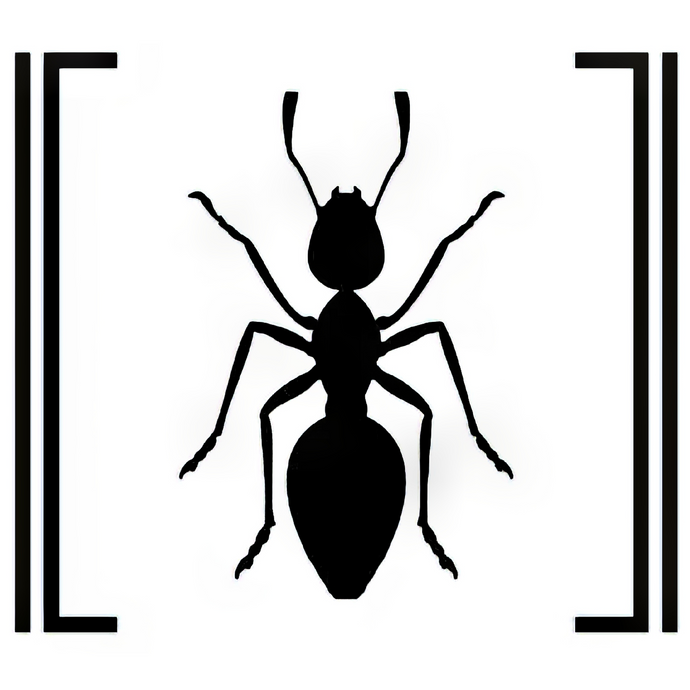 Camponotus pennsylvanicus (Black Carpenter Ant) Care Sheet