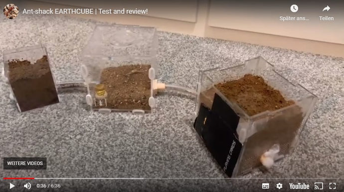 ANT SHACK EarthCube | Test and Review!