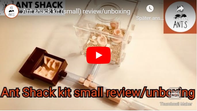 Kit ANT SHACK (pequeño) Revisión/Unboxing