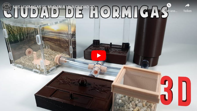 MIS HORMIGAS SE MUDAN A UNA CIUDAD 3D