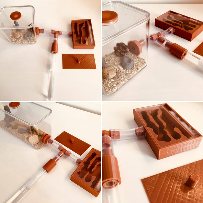 Natural Ant Farm Kit - Product Assembly