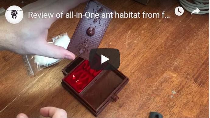 Review of all-in-One ant habitat from formica-antfarm.com