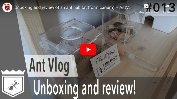 Video Review of the „EarthCube“ Ant Habitat