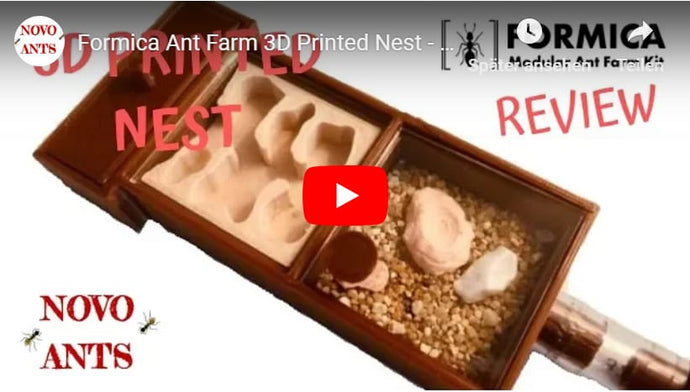 Reseña en video del hábitat para hormigas en miniatura todo en uno de FORMICA
