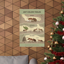 Load image into Gallery viewer, Ant Colony Roles - Wall Poster