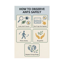 Load image into Gallery viewer, How To Observe Ants Safely - Wall Poster
