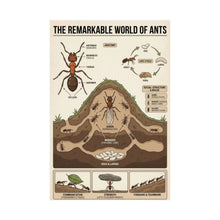 Load image into Gallery viewer, The Remarkable World of Ants Wall Poster