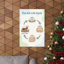 Load image into Gallery viewer, The Ant Life Cycle - Wall Poster