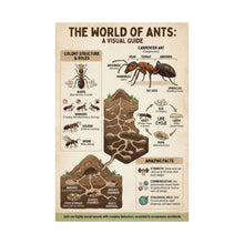 Load image into Gallery viewer, The World of Ants Wall Poster
