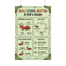 Load image into Gallery viewer, Amazing Ants - A Kid's Guide Wall Poster