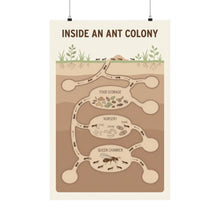 Load image into Gallery viewer, Inside an Ant Colony - Wall Poster