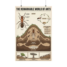Load image into Gallery viewer, The Remarkable World of Ants Wall Poster
