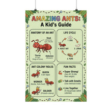 Load image into Gallery viewer, Amazing Ants - A Kid's Guide Wall Poster