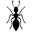 Ant Farms & Formicarium Kits logo