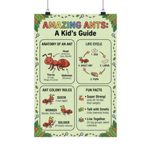 Load image into Gallery viewer, Amazing Ants - A Kid's Guide Wall Poster