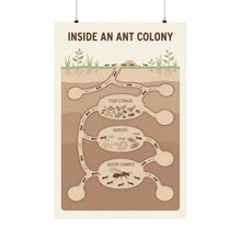 Load image into Gallery viewer, Inside an Ant Colony - Wall Poster