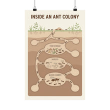 Load image into Gallery viewer, Inside an Ant Colony - Wall Poster
