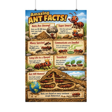 Load image into Gallery viewer, Ant Poster - Colorful Kids Room Art