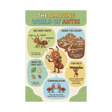 Load image into Gallery viewer, The Amazing World of Ants Wall Poster
