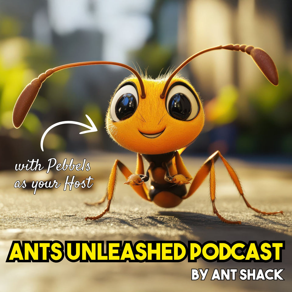 ANT SHACK - Formicarium and Ant Farm Kit Shop | ANT SHACK - Formicarium ...