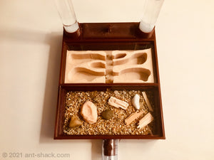All-In-One Ant Habitat All-In-One Kit