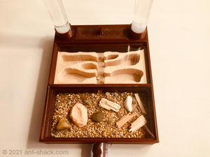All-In-One Ant Habitat All-In-One Kit