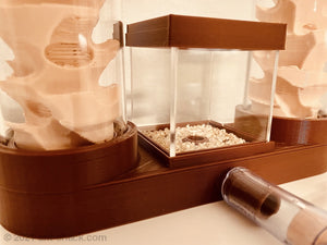 All-In-One Desktop Ant Habitat Farm Arena