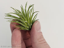 Charger l&#39;image dans la galerie, Artificial Airplant Decoration