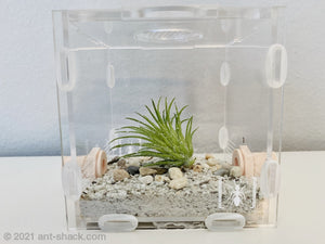 Artificial Airplant Decoration