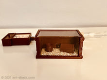 Cargar imagen en el visor de la galería, Complete Ant Habitat Kit Pirates Den All-In-One