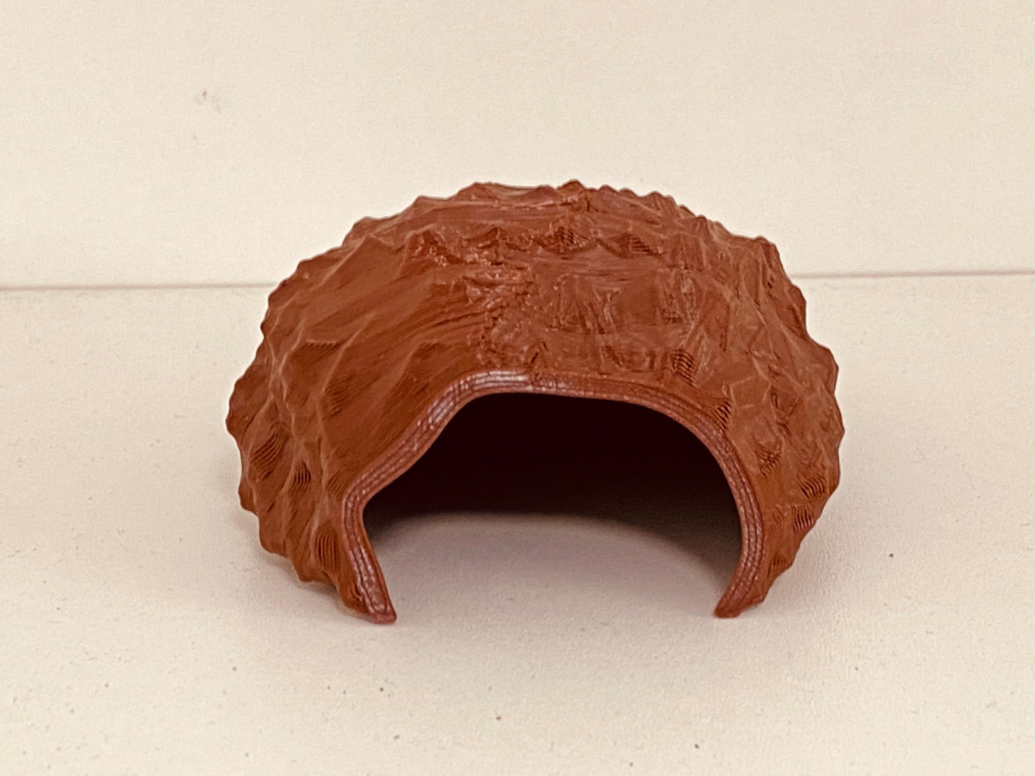 ANT SHACK - Formicarium and Ant Farm Kit Shop | Reptile / Spider Shell ...