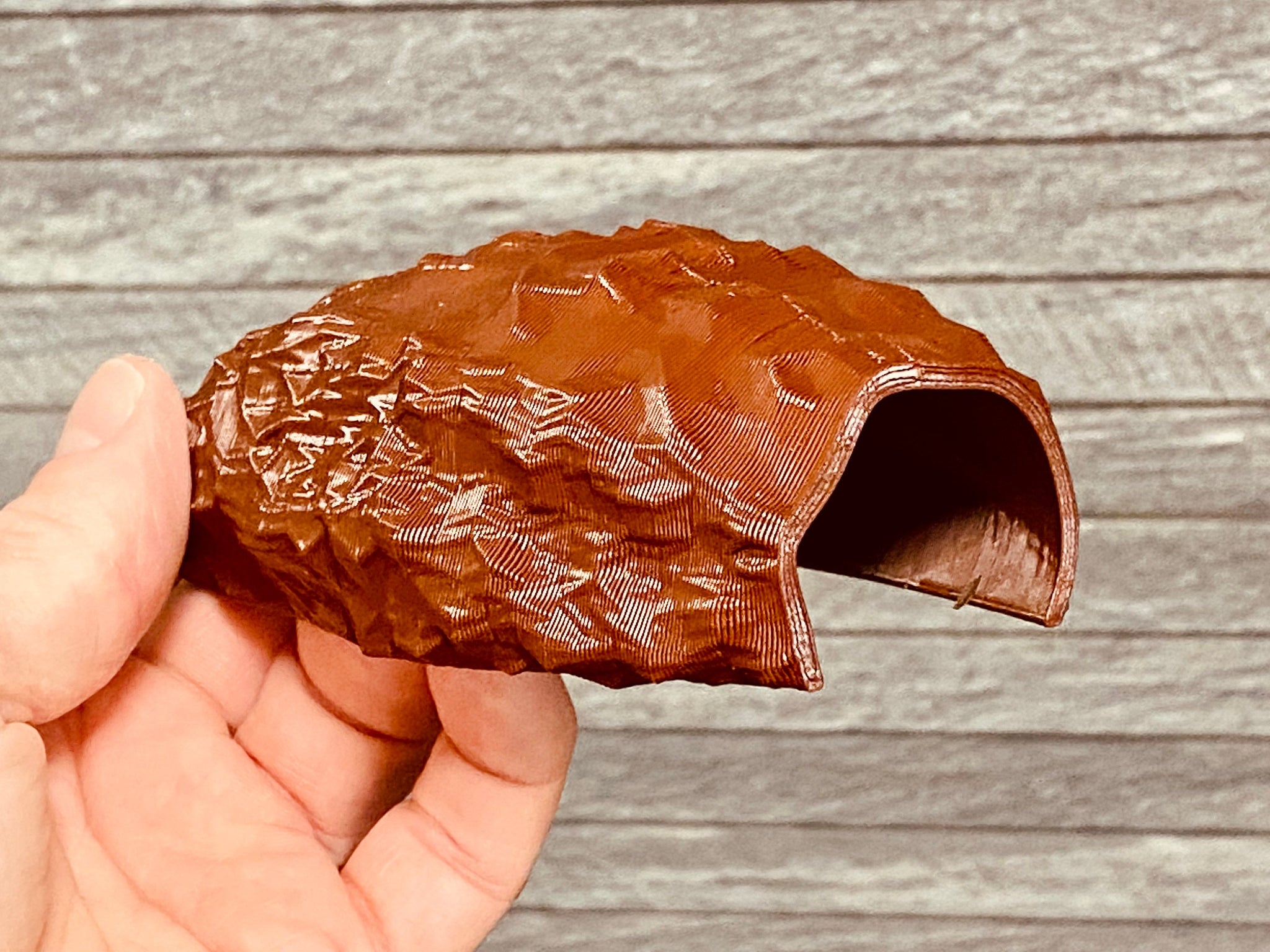 ANT SHACK - Formicarium and Ant Farm Kit Shop | Reptile / Spider Shell ...