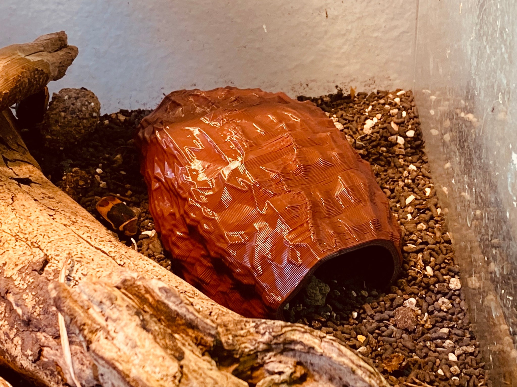 ANT SHACK - Formicarium and Ant Farm Kit Shop | Reptile / Spider Shell ...