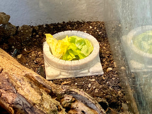 Terrarium Feeder "The Well" - Marble colored Feeder for Geckos, Lizard & Siders
