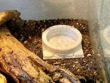 Cargar imagen en el visor de la galería, Terrarium Feeder &quot;The Well&quot; - Marble colored Feeder for Geckos, Lizard &amp; Siders