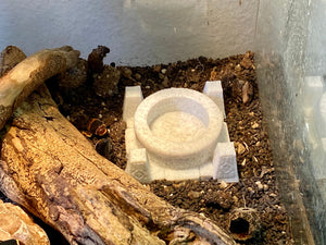 Terrarium Feeder "Mystic Well" - Marble colored Feeder for Geckos, Lizard & Siders