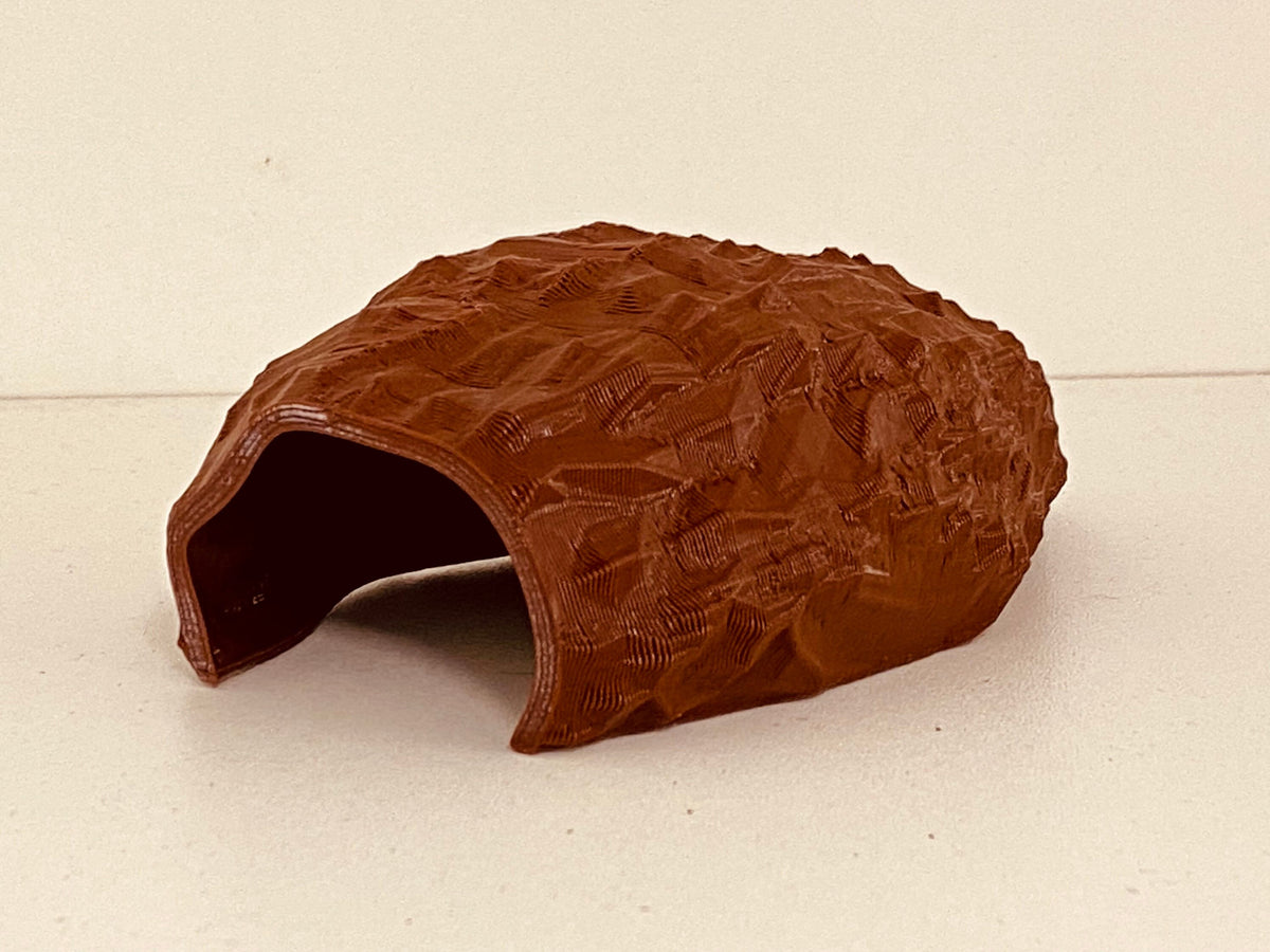 ANT SHACK - Formicarium and Ant Farm Kit Shop | Reptile / Spider Shell ...