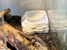 Load image into Gallery viewer, Terrarium Feeder &quot;ReptiBowl&quot; - Marble colored Feeder for Geckos, Lizard &amp; Siders