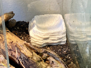 Terrarium Feeder "ReptiBowl" - Marble colored Feeder for Geckos, Lizard & Siders
