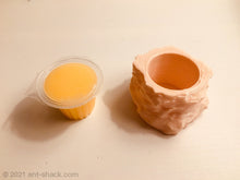 Load image into Gallery viewer, Jelly Cup Holder Rock Feeder
