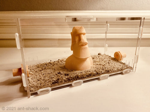 Large Ant Outworld Kit Moai Farm Arena